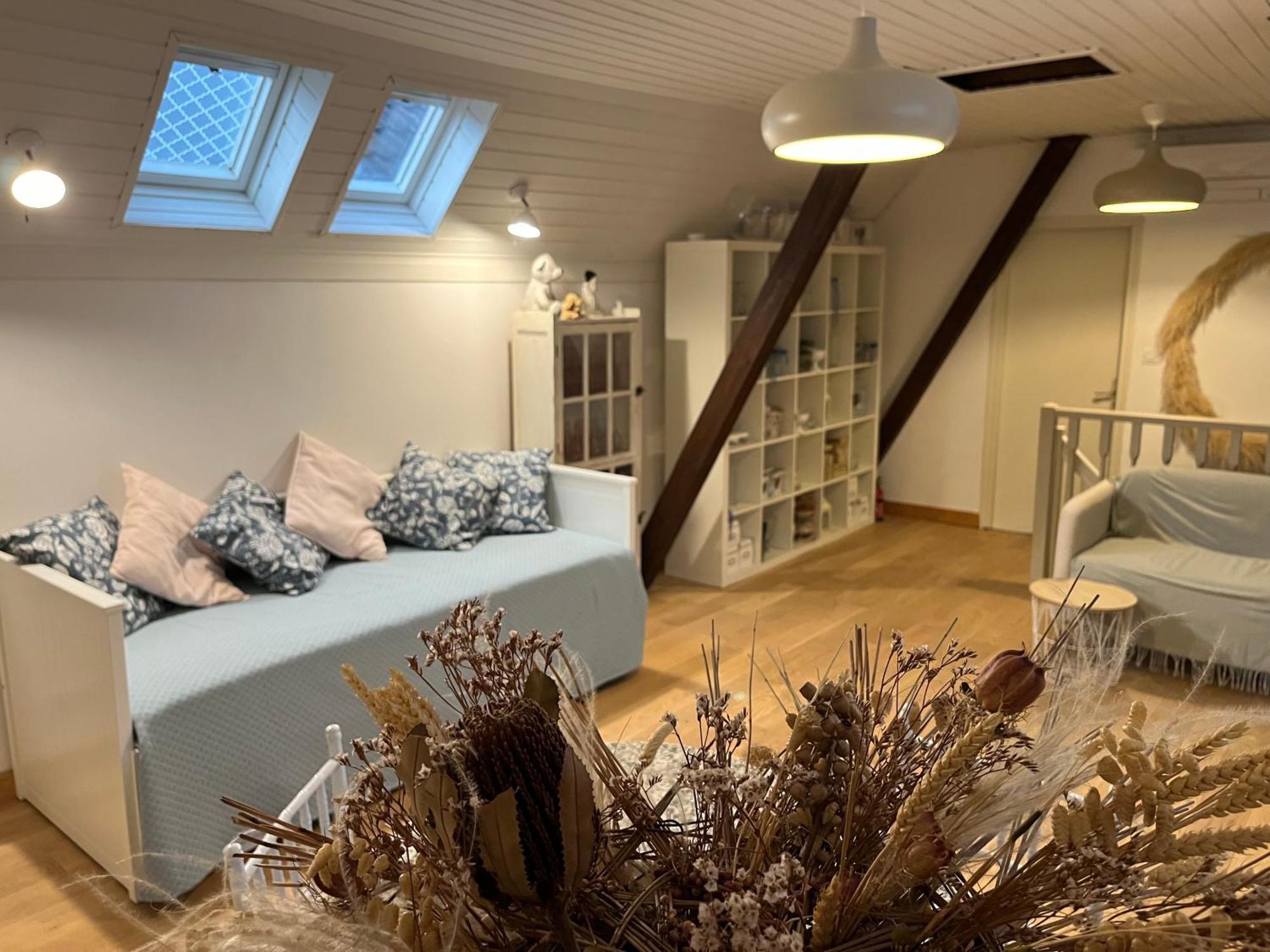 Etage Entier Prive, 45M2 Chez Regine Villa Шилтигхайм Екстериор снимка